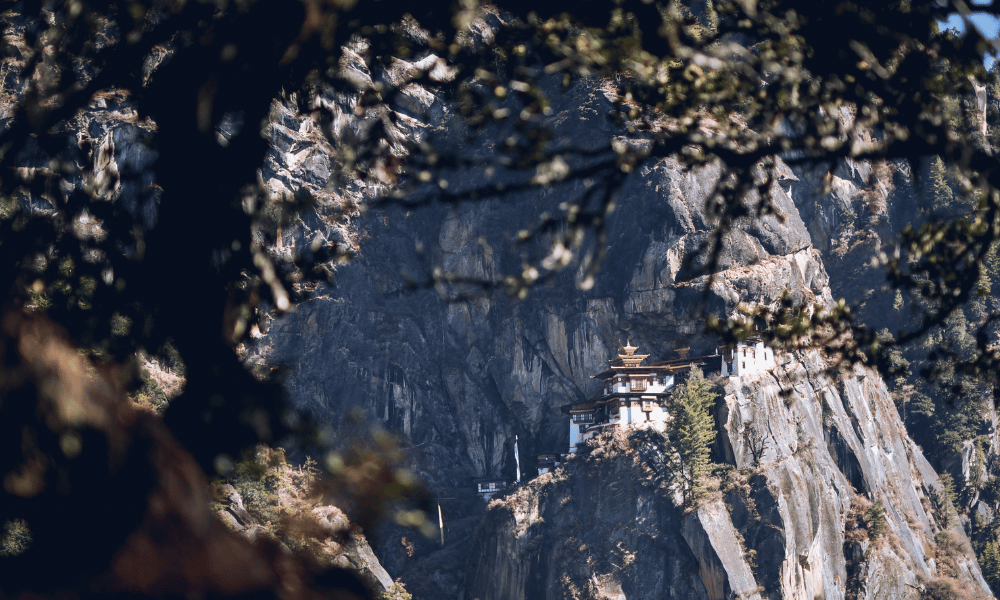 Tiger Nest Conservation