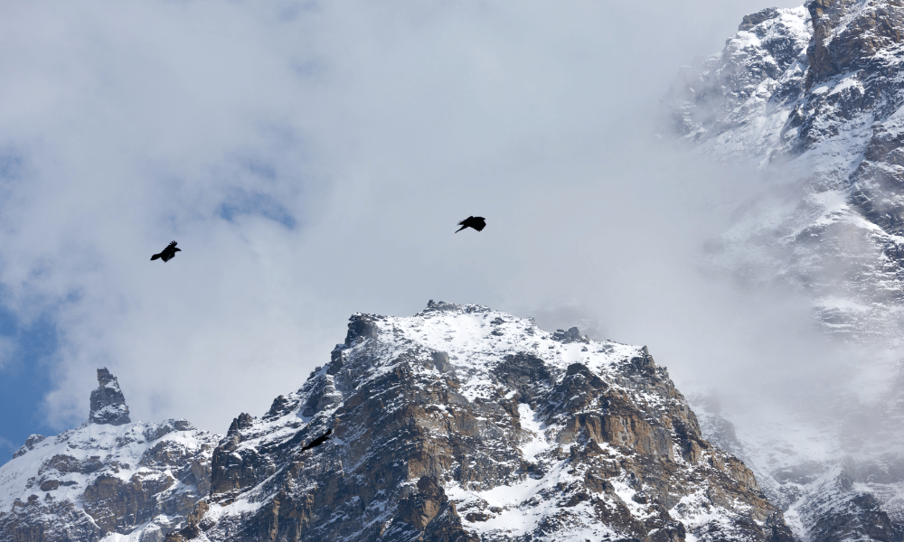 kanchenjunga base camp trek